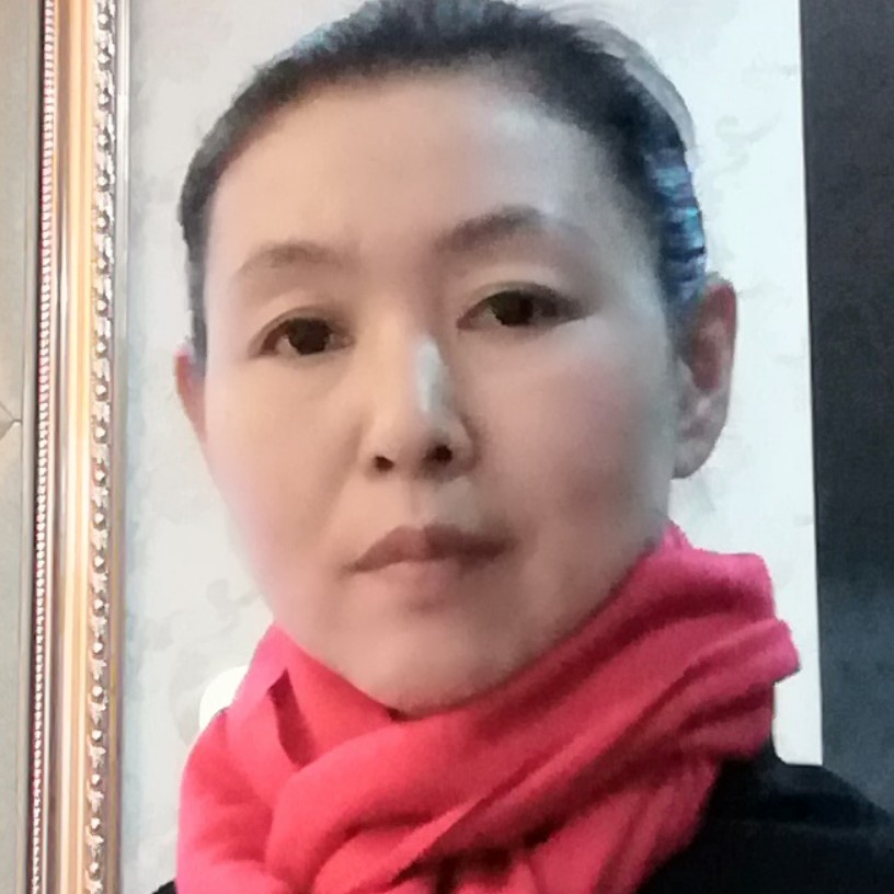 自由飞燕的照片