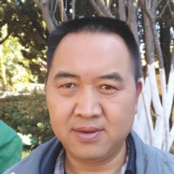 碧影高贵的照片