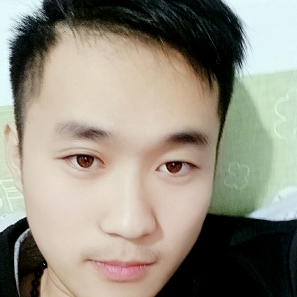 独特黄蜂的照片