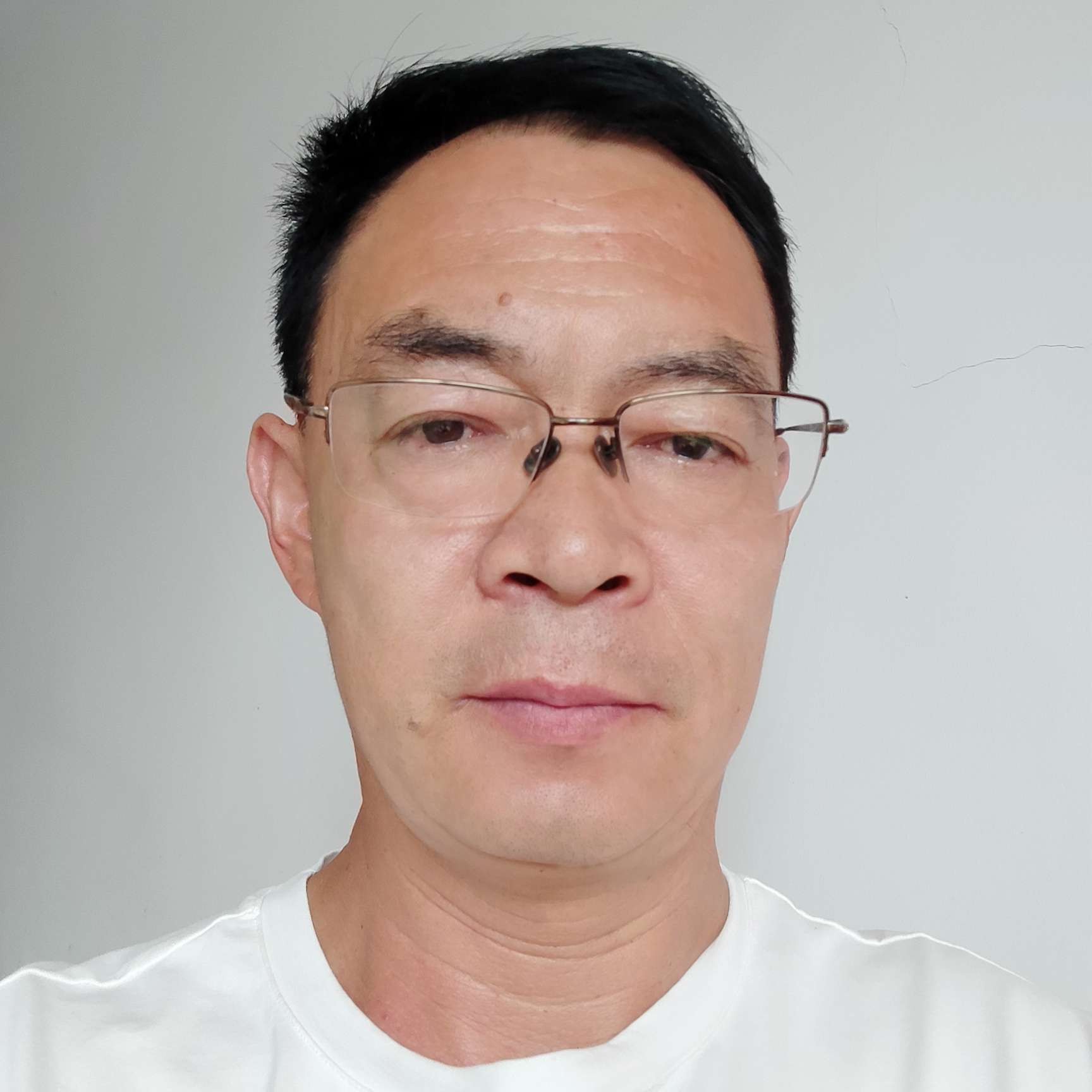 幽默拾忆斑马的照片