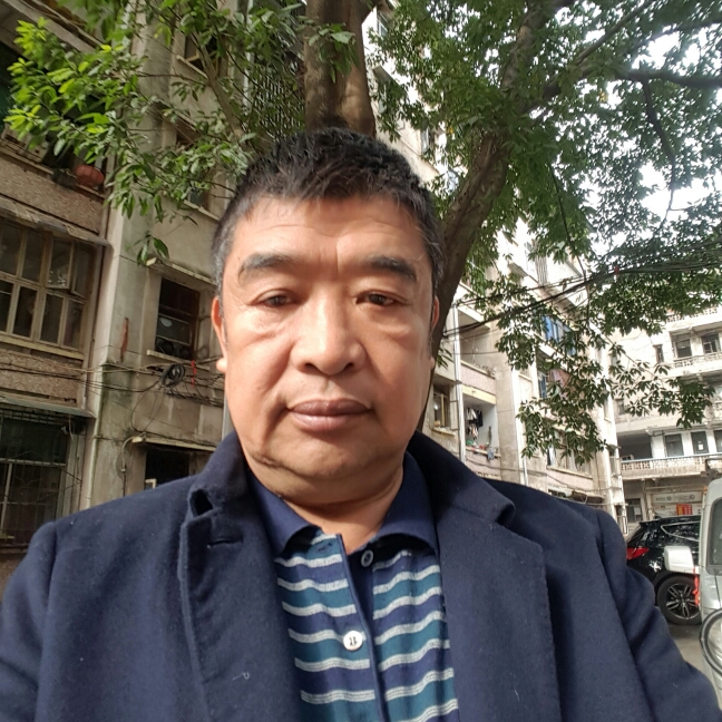 大意狗的照片
