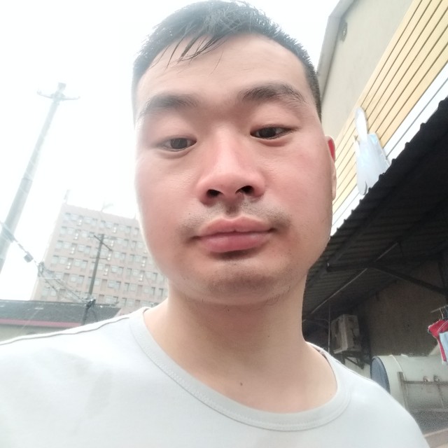蚂蚁等待初夏的照片