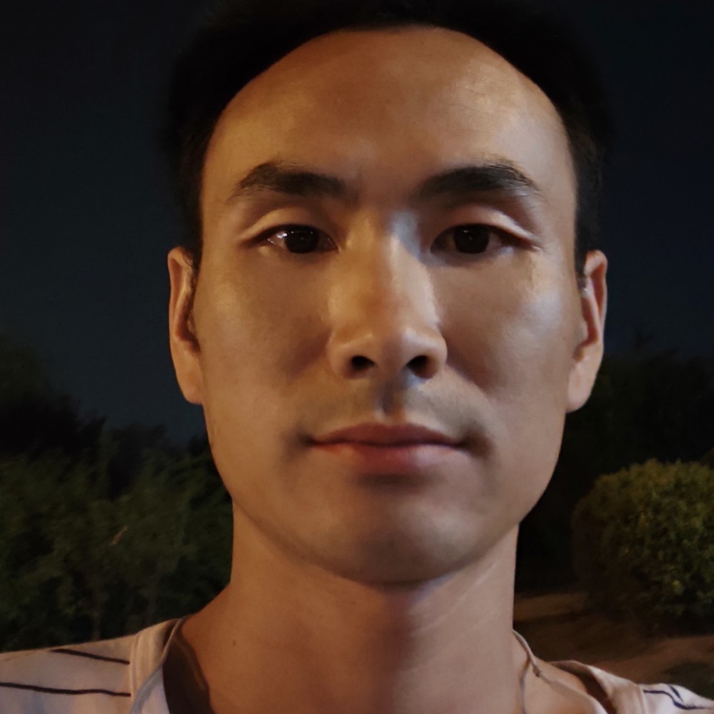 小猫咪漫步复杂的照片