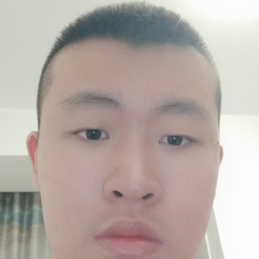 黄蜂机智的照片