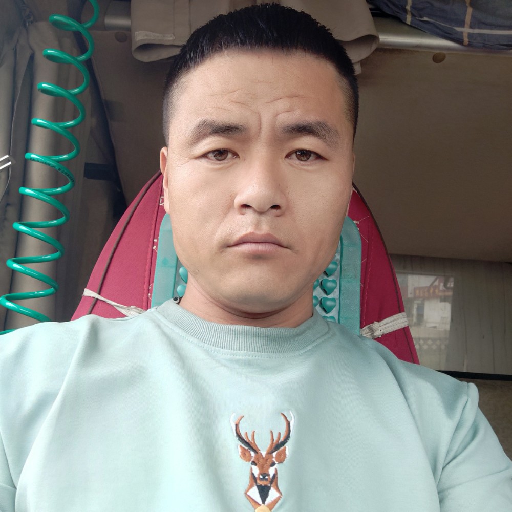 苹果有汽车的照片