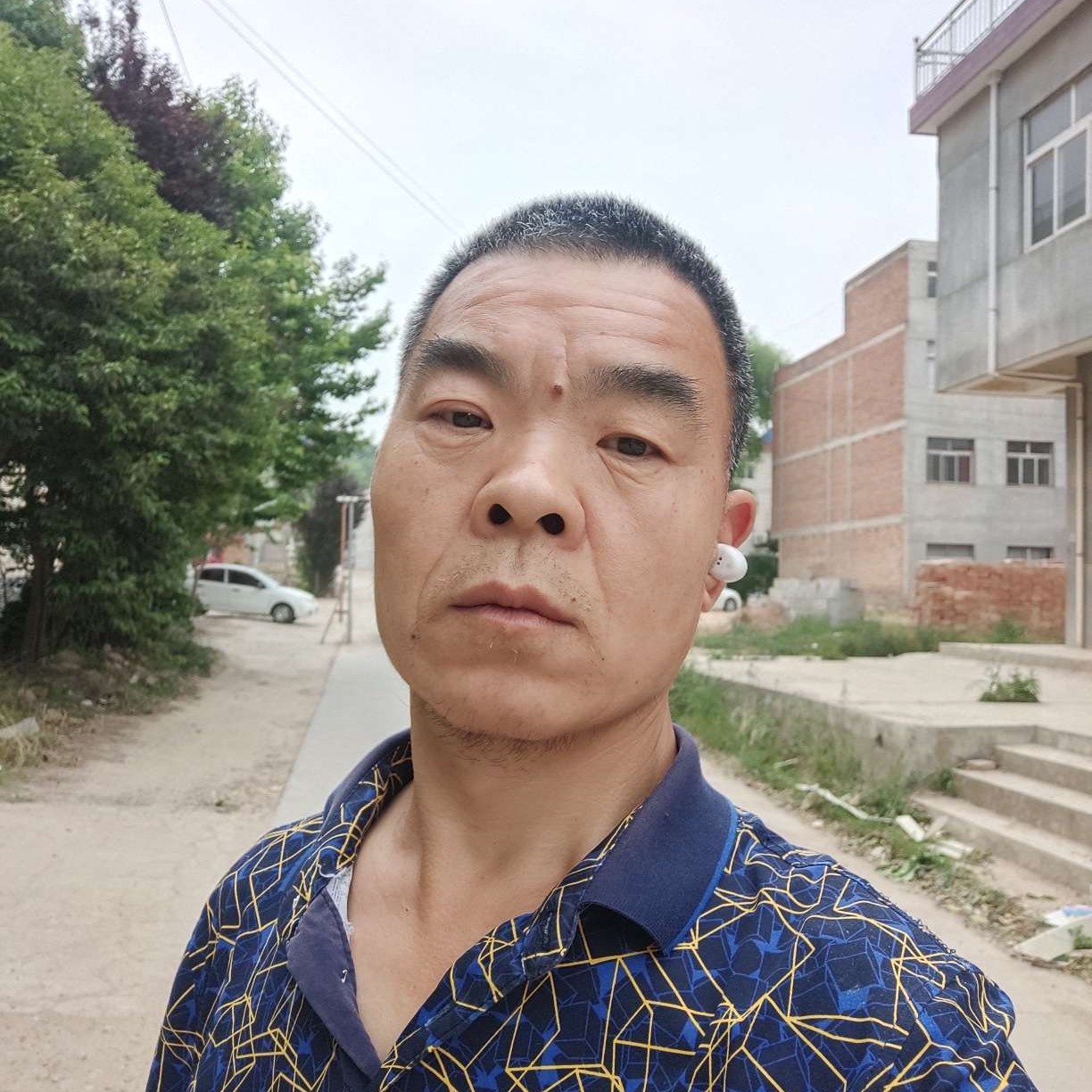 美好遇見黄蜂的照片