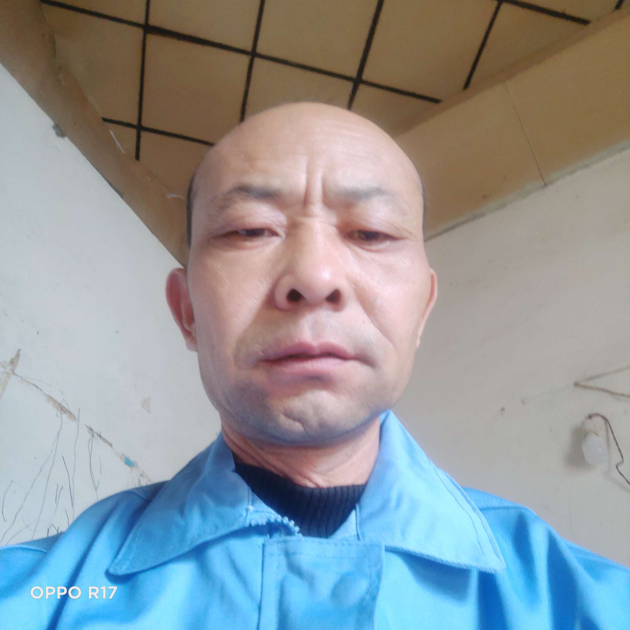 衬衫的美丽的照片