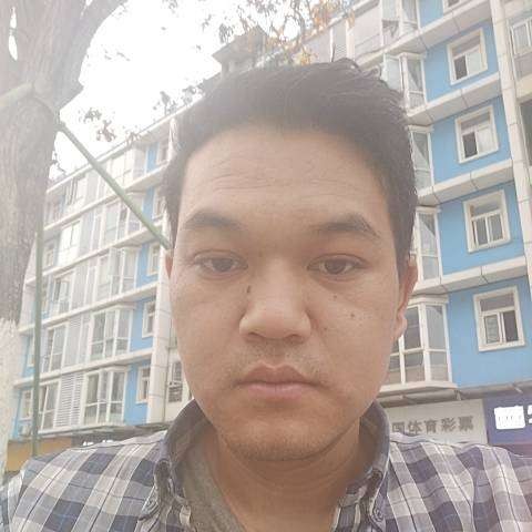 现实深拥乌龟的照片