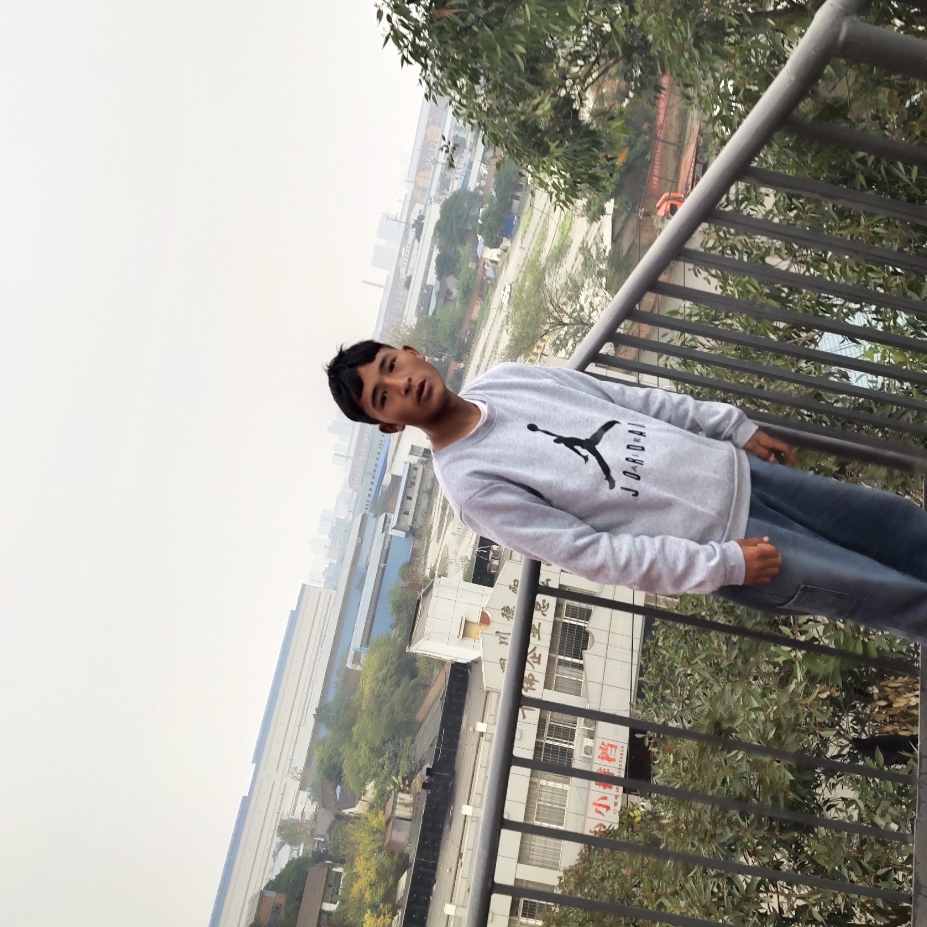 西牛和舒服的照片
