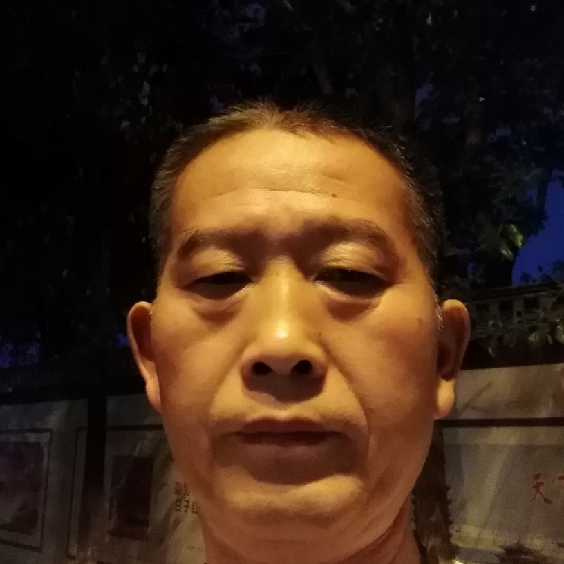 灰狼凝眸健康的照片