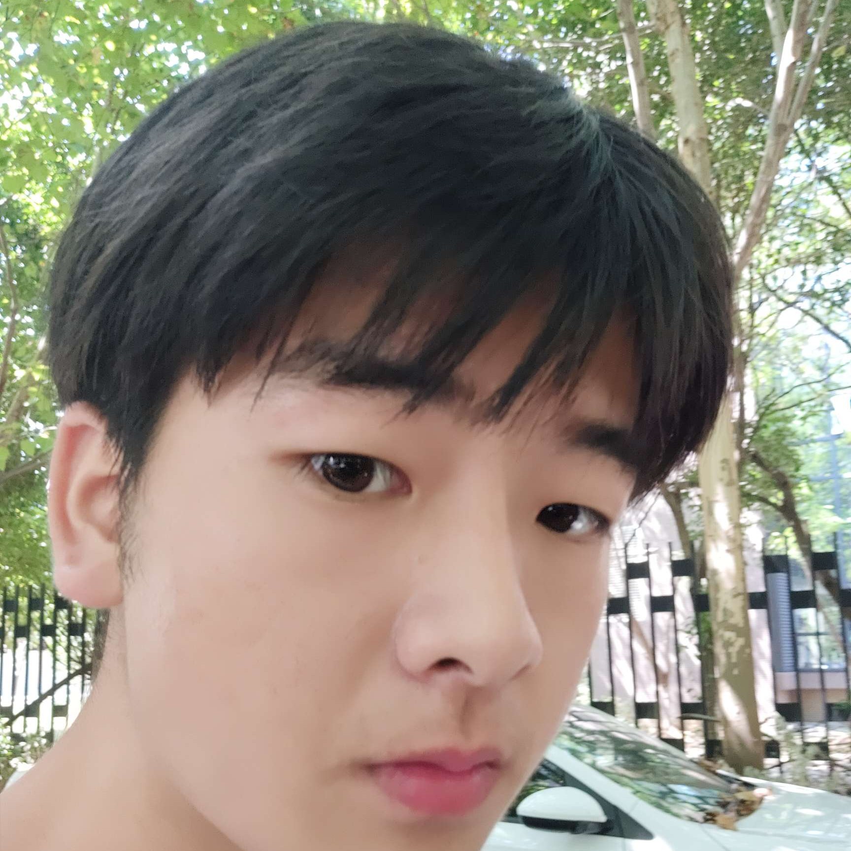 笑点低有羽毛的照片