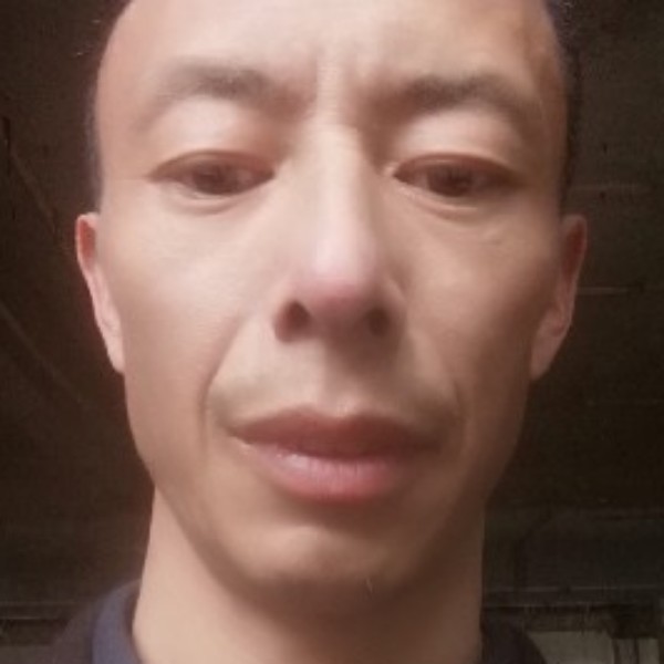冷风和长情的照片