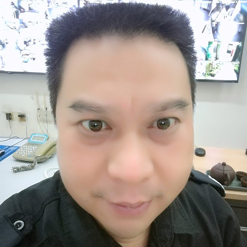 善良的孤雁的照片