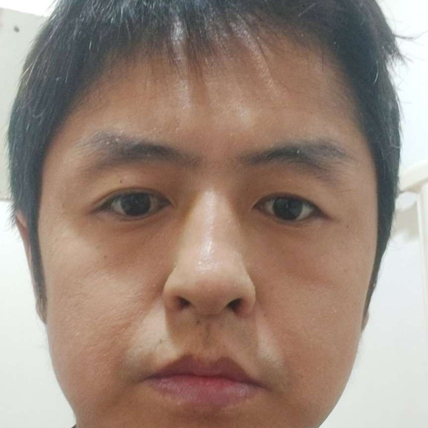 动人苦恋乌龟的照片