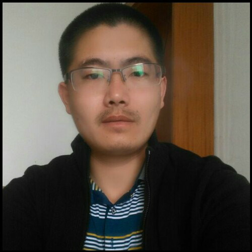 风中的鸟的照片