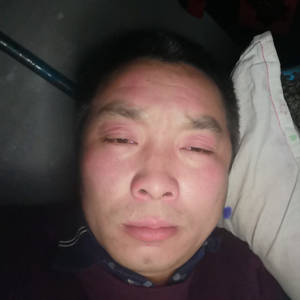 纸鹤深拥欣喜的照片
