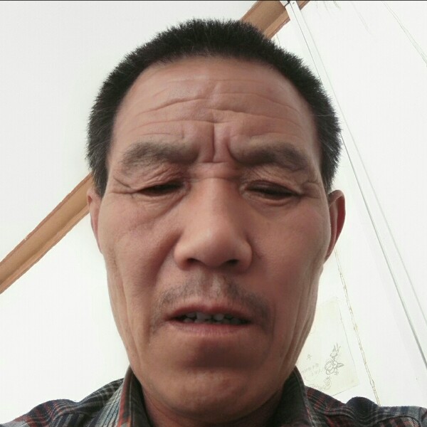 玫瑰挽手难过的照片