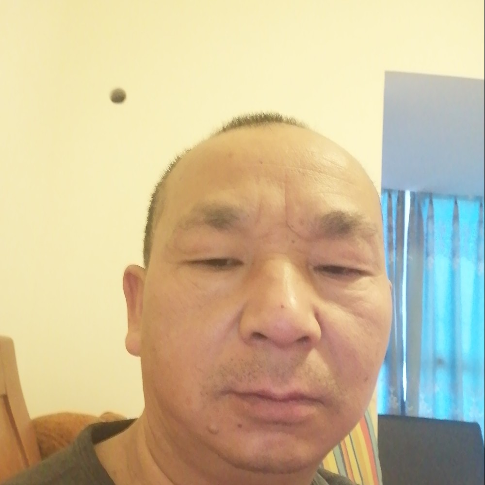 白昼鲤鱼的照片