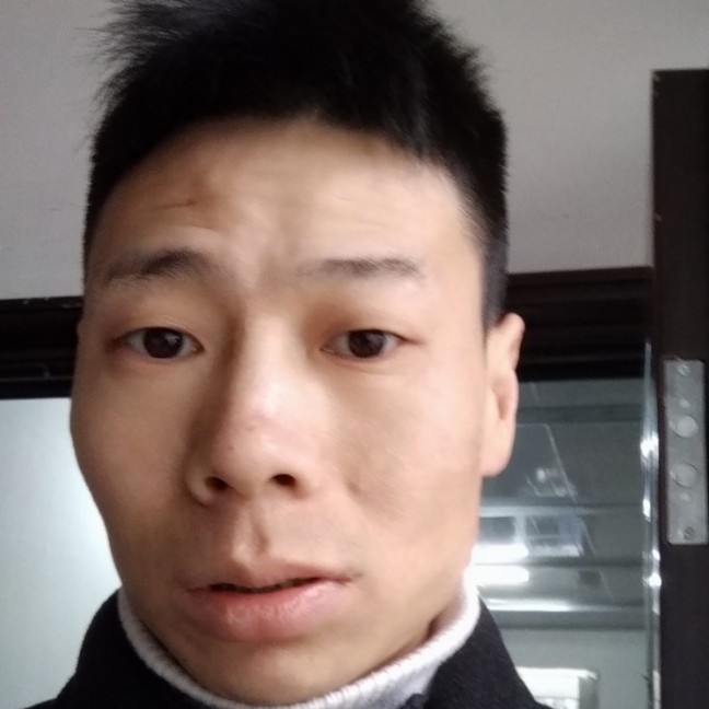 快来小猪的照片
