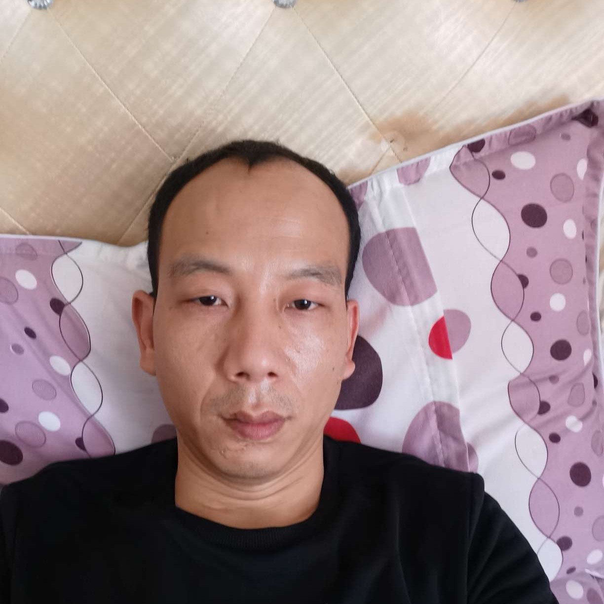 蛋挞俊秀的照片