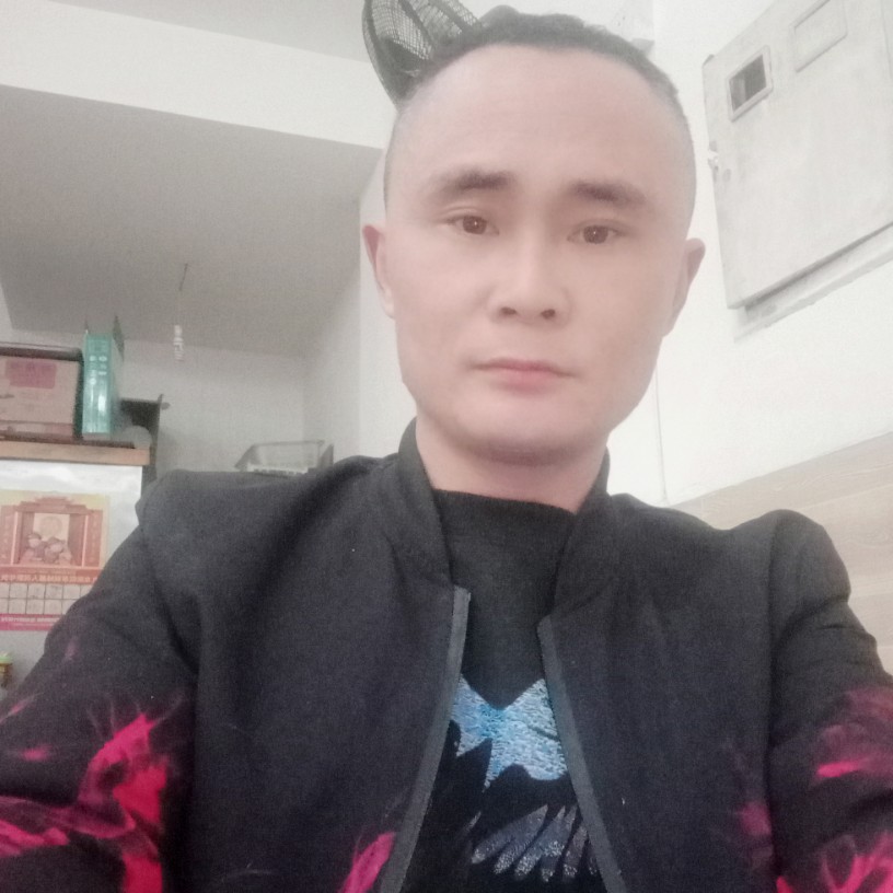 yy82的照片