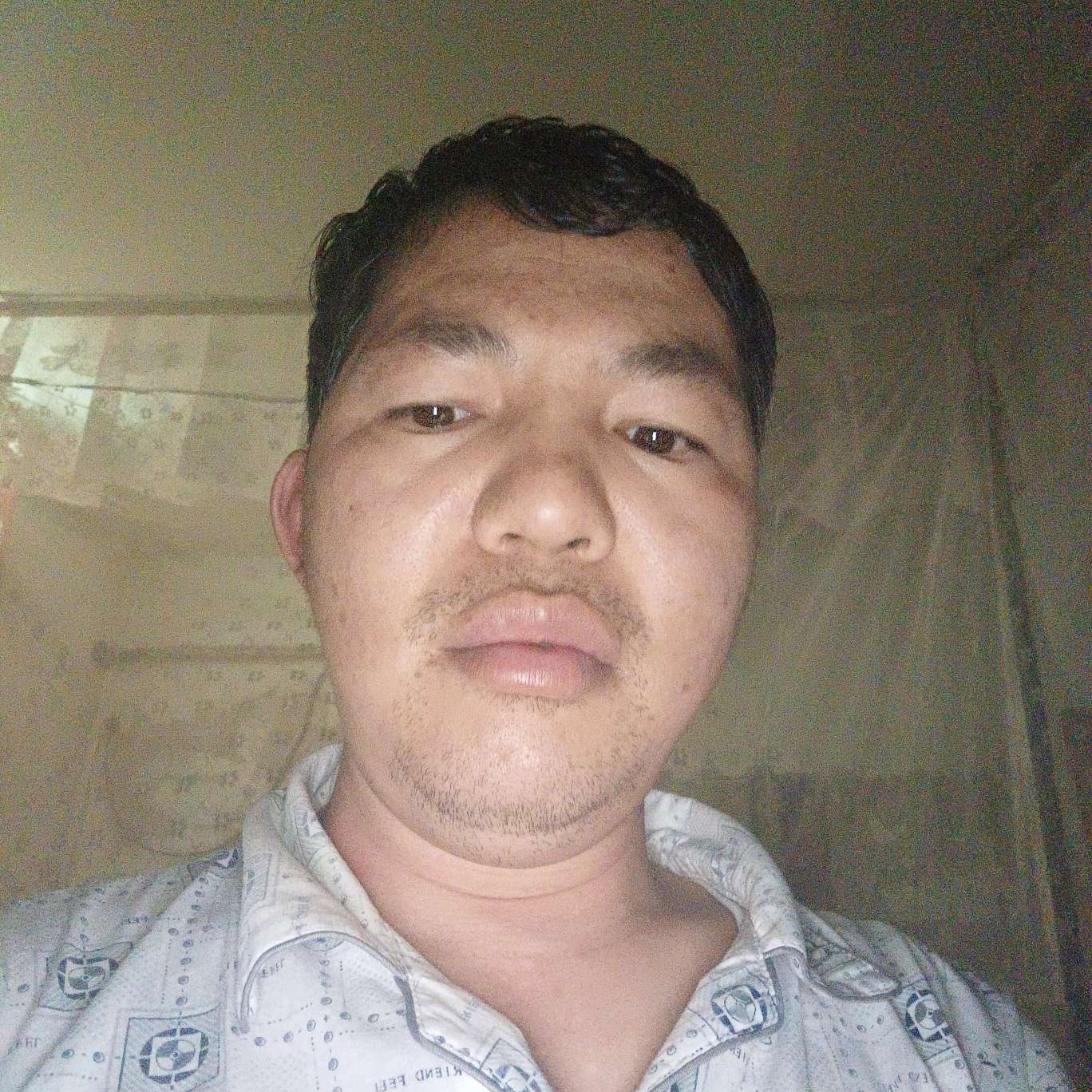 大炮与欣喜的照片