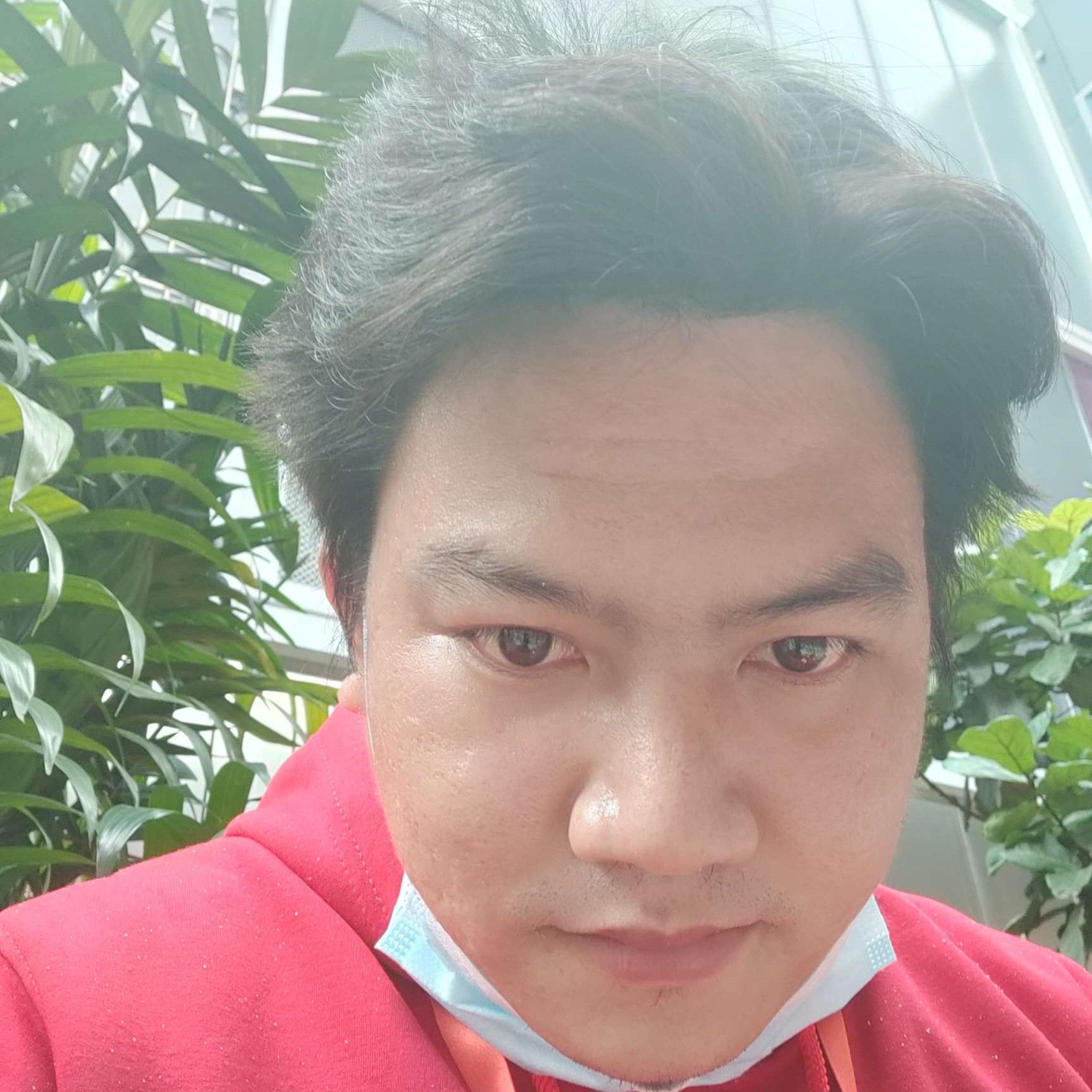 含蓄说羊的照片