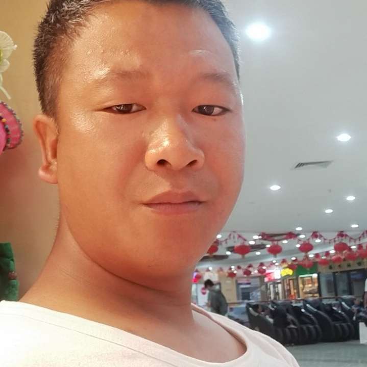 半夏回眸大意的照片