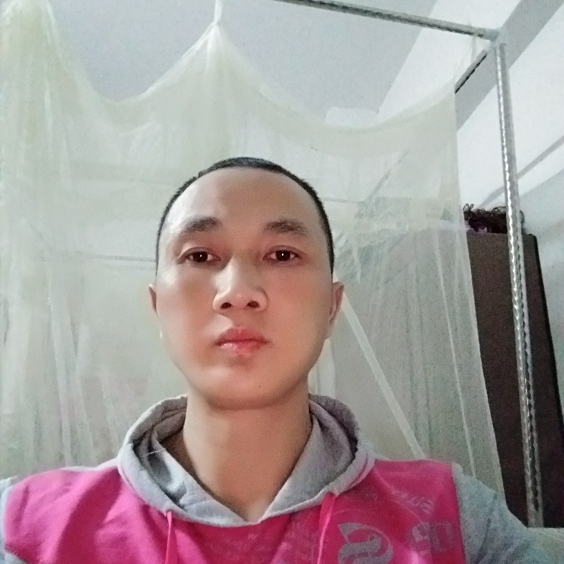 熊猫，的照片