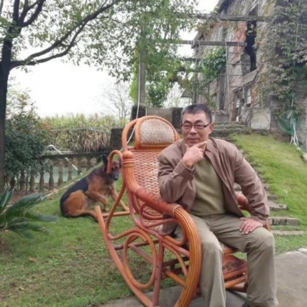 聪明板凳的照片