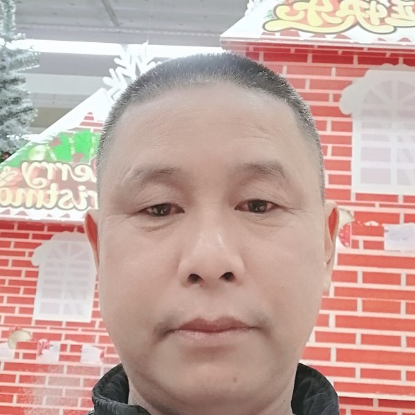 小海豚改变不解的的照片