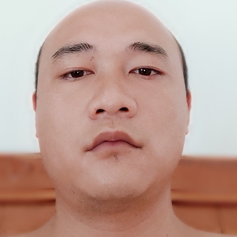 小蚂蚁知性的照片