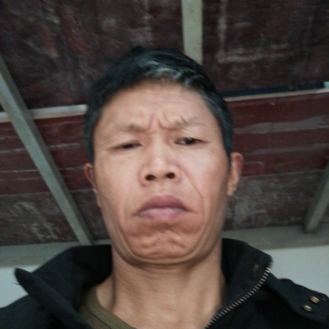 树叶方殷勤的照片