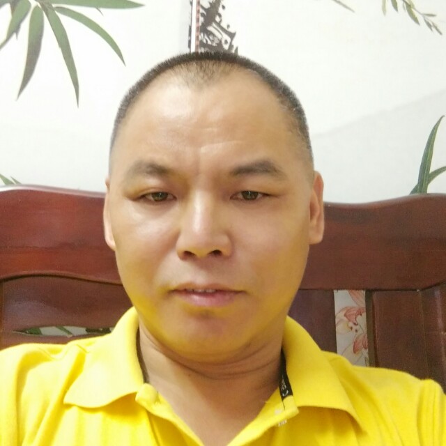 向日葵体贴的照片