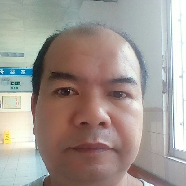 猎豹糊涂的照片