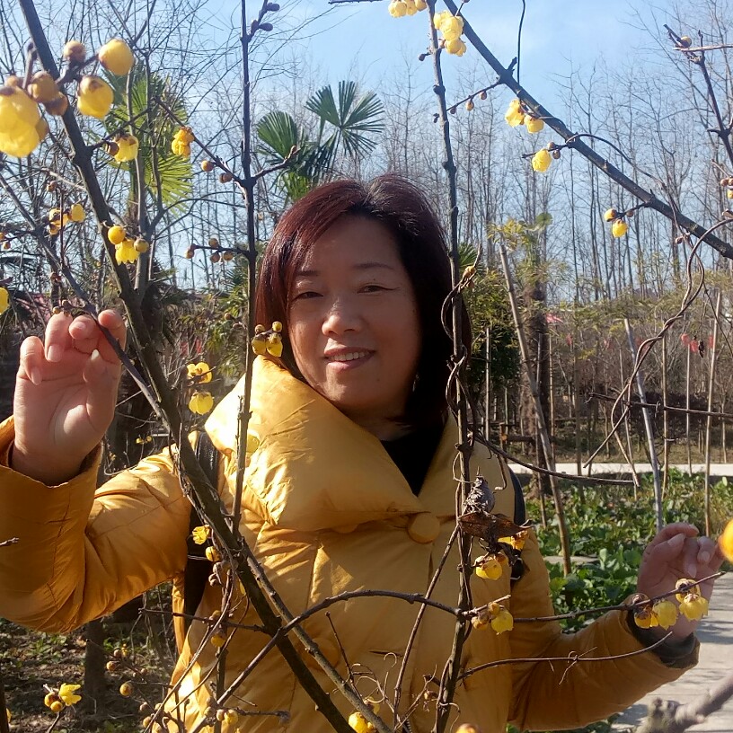 红尹的照片