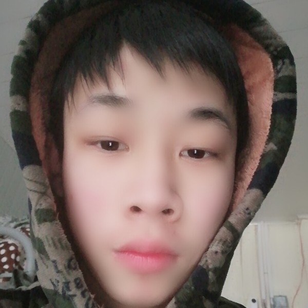 蜜蜂年轻的照片
