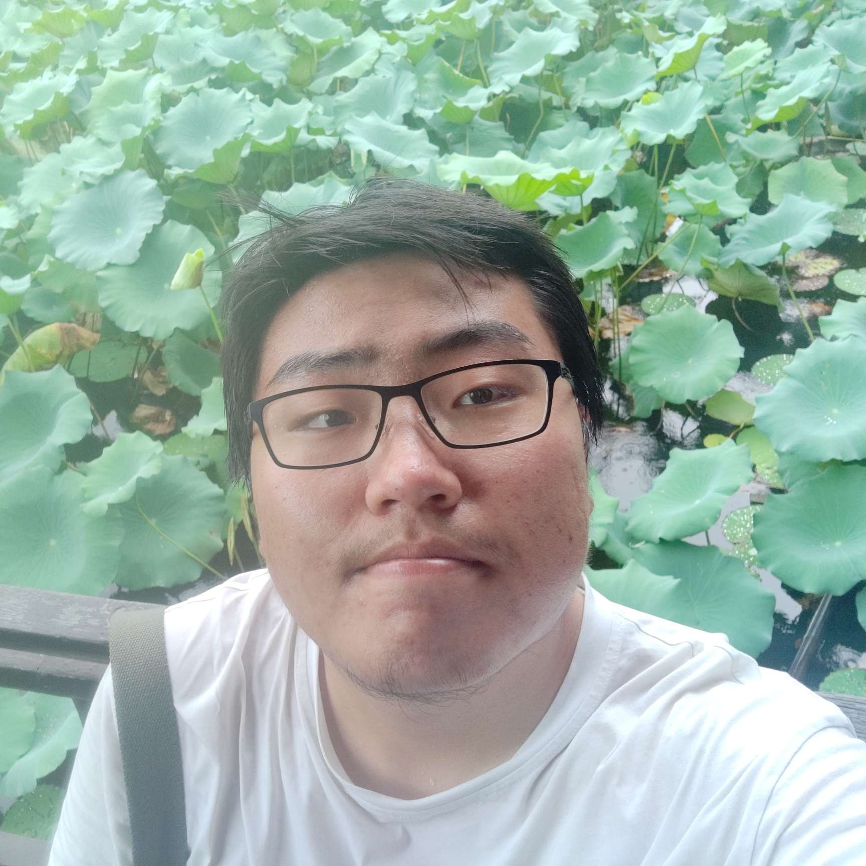 晏树的照片