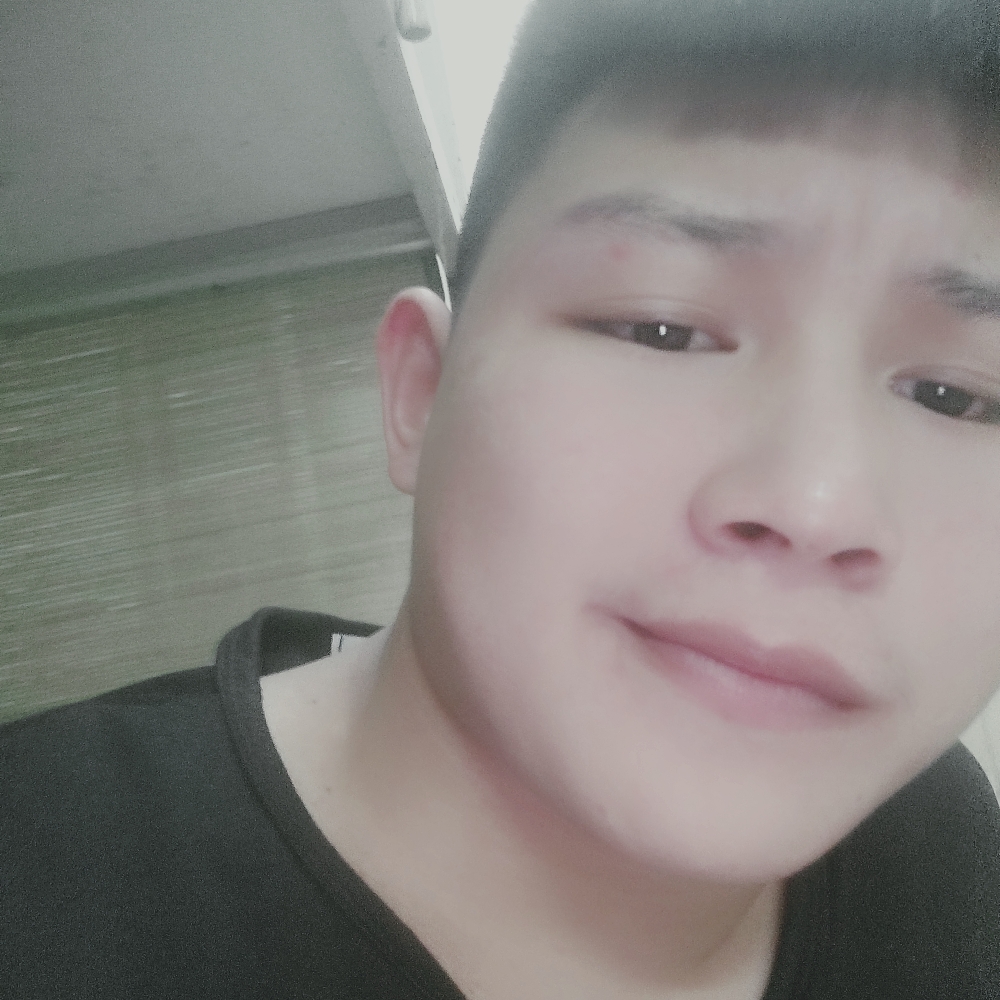 憨鹅的照片