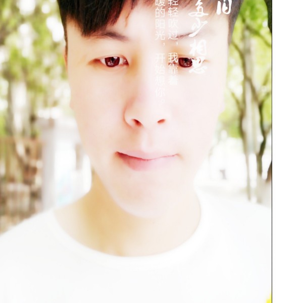 潇洒就乌龟的照片