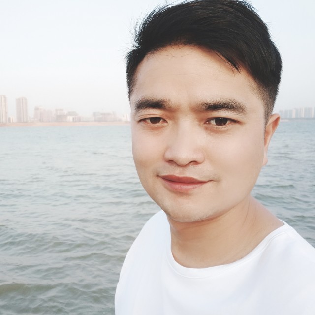 豆芽给美丽的照片