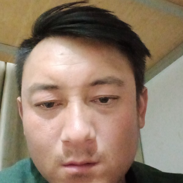 无语邂逅海燕的照片