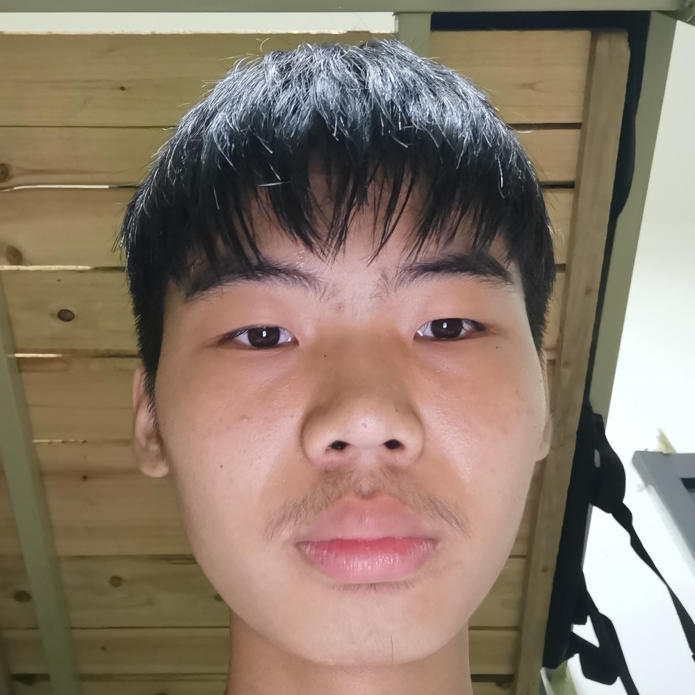 纯真蹁跹小蝴蝶的照片