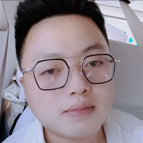 黑猫的秀丽的照片