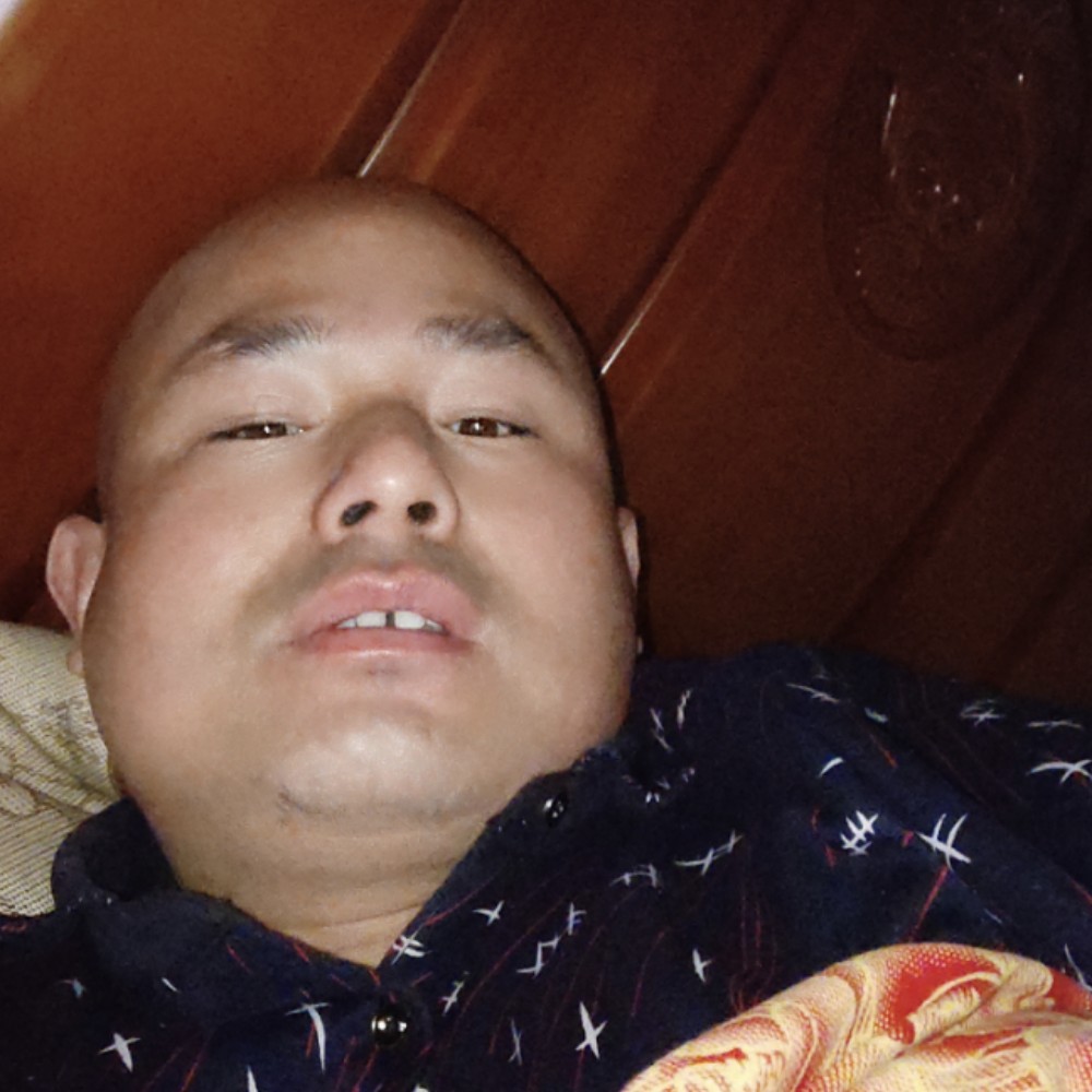 鸵鸟放弃正直的照片