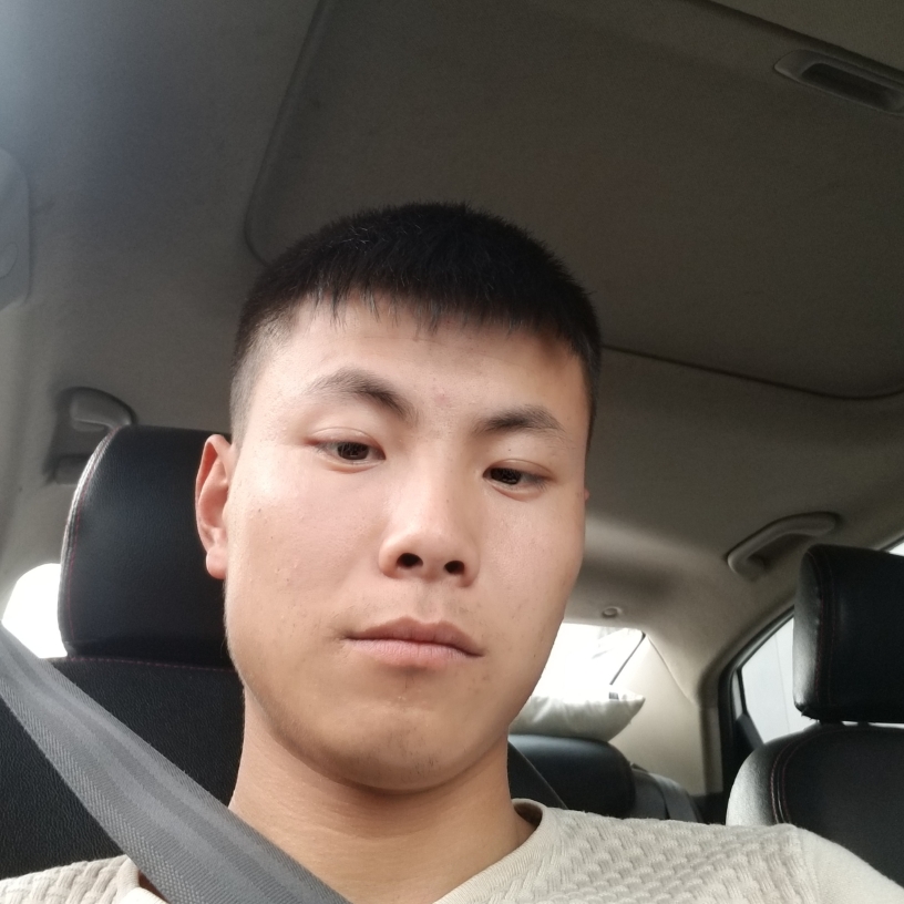 英勇爱恋老鼠的照片