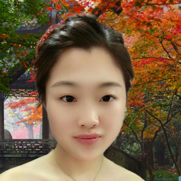 飞鸟美好的照片