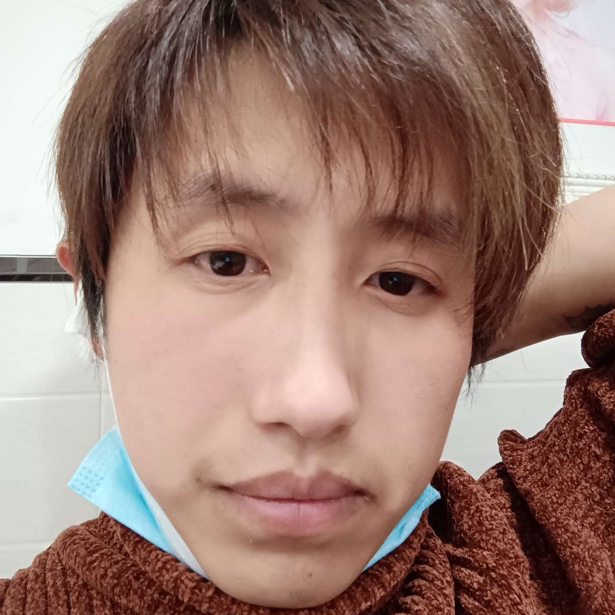 墨西哥的森林的照片