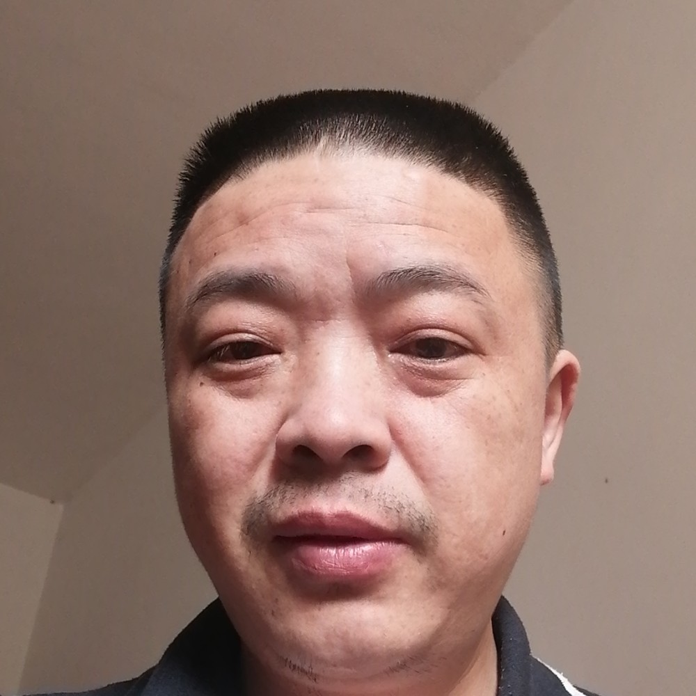 小猫咪邂逅明亮的照片