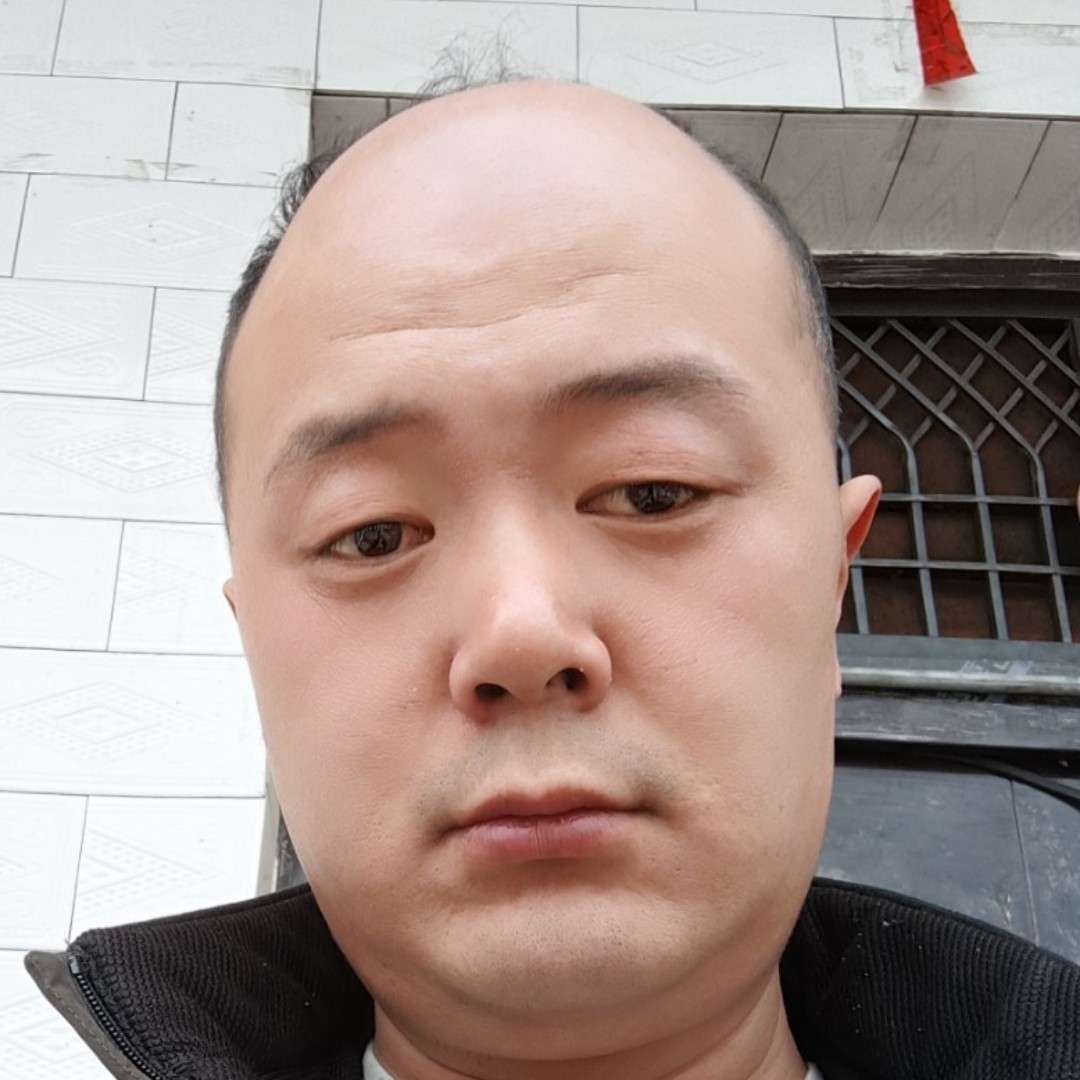 纯真闻灰狼的照片